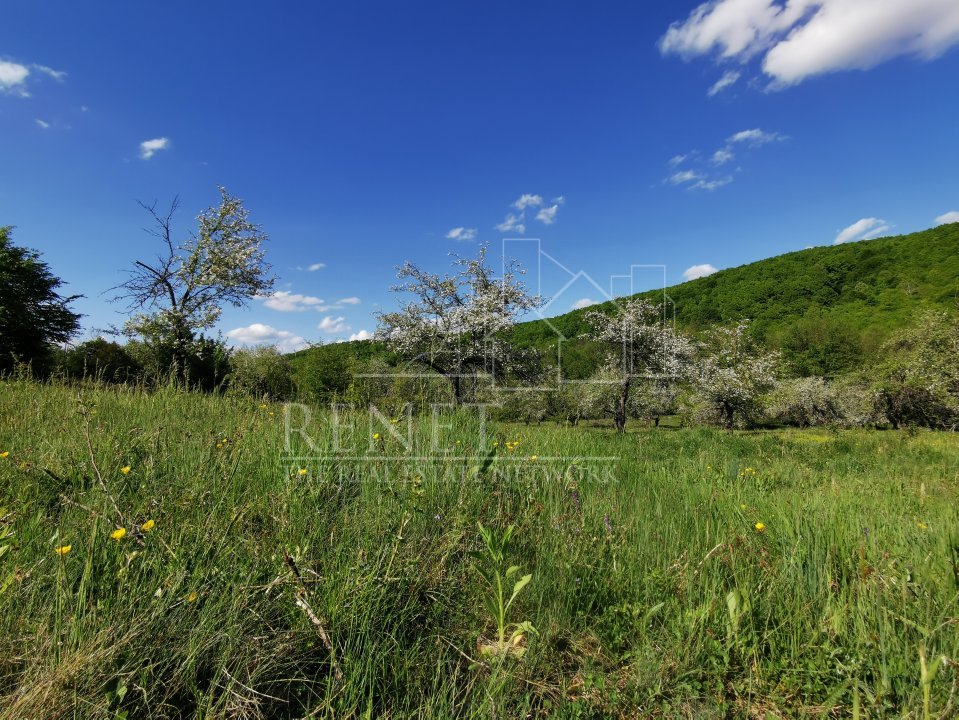 Teren de Vânzare, Budeasa Mica – Potrivit pentru Casă de Vacanță sau Investiție