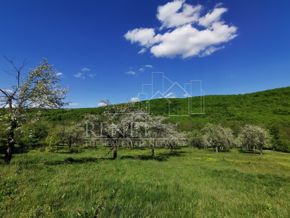 Teren de Vânzare, Budeasa Mica – Potrivit pentru Casă de Vacanță sau Investiție