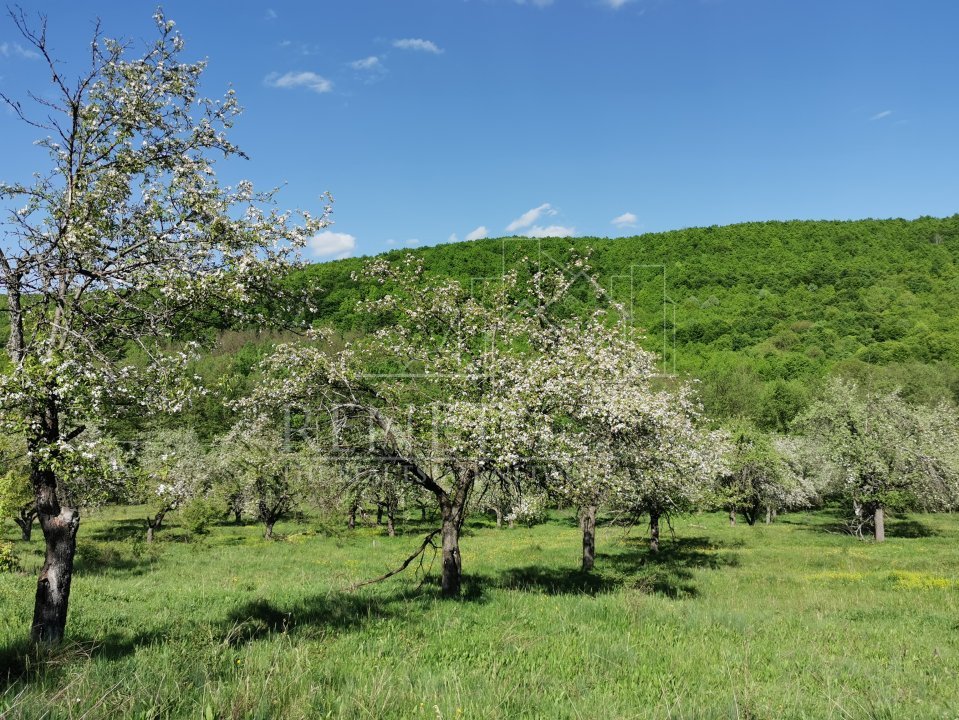 Teren de Vânzare, Budeasa Mica – Potrivit pentru Casă de Vacanță sau Investiție