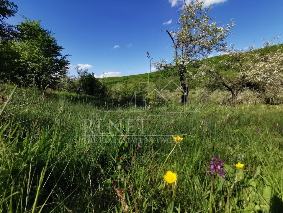 Teren de Vânzare, Budeasa Mica – Potrivit pentru Casă de Vacanță sau Investiție