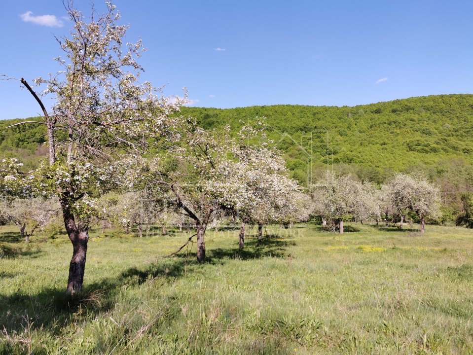 Teren de Vânzare, Budeasa Mica – Potrivit pentru Casă de Vacanță sau Investiție