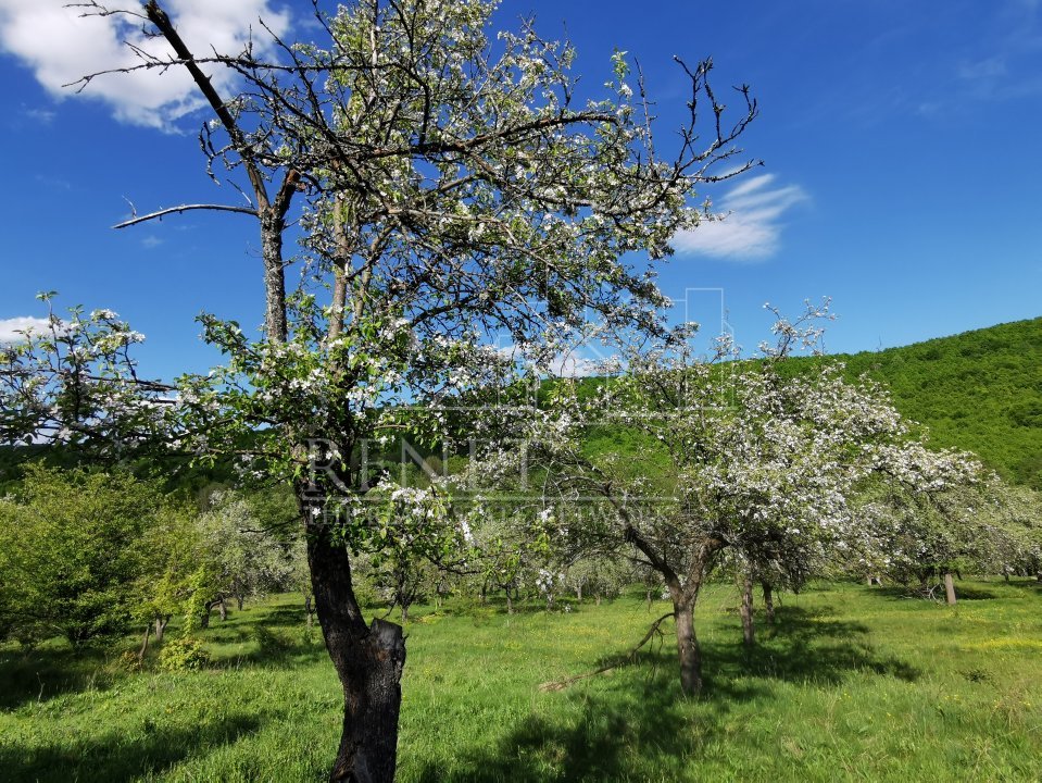 Teren de Vânzare, Budeasa Mica – Potrivit pentru Casă de Vacanță sau Investiție