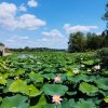 SUPER OCAZIE SE VINDE VILA IN SNAGOV CU DESCHIDERE LA LAC