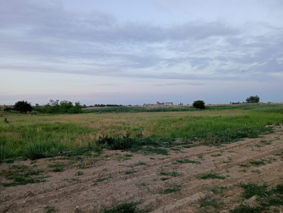 SUPER OCAZIE SE VINDE TEREN IN CREVEDIA-CIOCANESTI