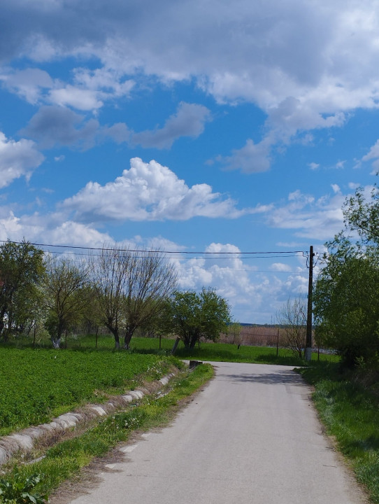 SUPER OCAZIE SE VINDE TEREN LA CEL MAI MIC PRET LA DELTA NEASLOVULUI BUDENI GR