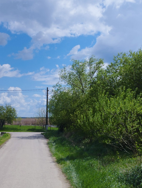 SUPER OCAZIE SE VINDE TEREN LA CEL MAI MIC PRET LA DELTA NEASLOVULUI BUDENI GR