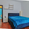 Zona Ferdinand apartament in vila