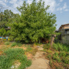 CHIAJNA - CASA RENOVABILA 129 MP, LOT 690 MP!