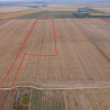 FRUMUSANI - PASAREA, TEREN 14420 MP, FRONT 40 M! 