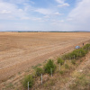 FRUMUSANI - PASAREA, TEREN 14420 MP, FRONT 40 M! 