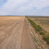 FRUMUSANI - PASAREA, TEREN 14420 MP, FRONT 40 M! 