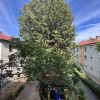 Apartament 2 camere Floreasca-Ceaikovski. 