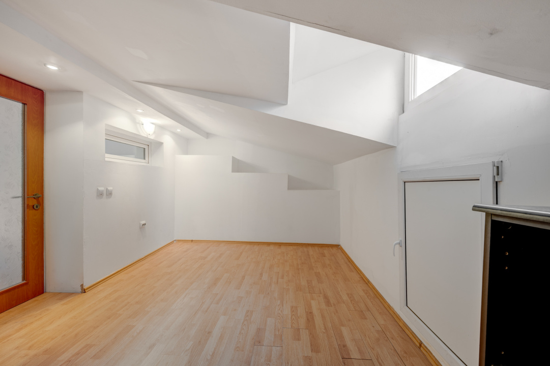 Vila de vanzare Domenii-Ion Mihalache