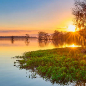 SISESTI teren.  5000mp iesire la LAC