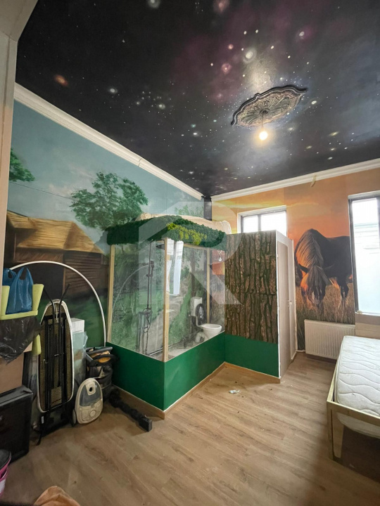 Apartament in vilă 3 camere cu design artistic unic, curte 40mp - Nerva Traian