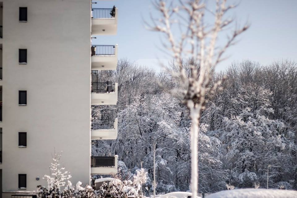 Apartament 3 camere de închiriat  – Greenfield Residence, Băneasa  