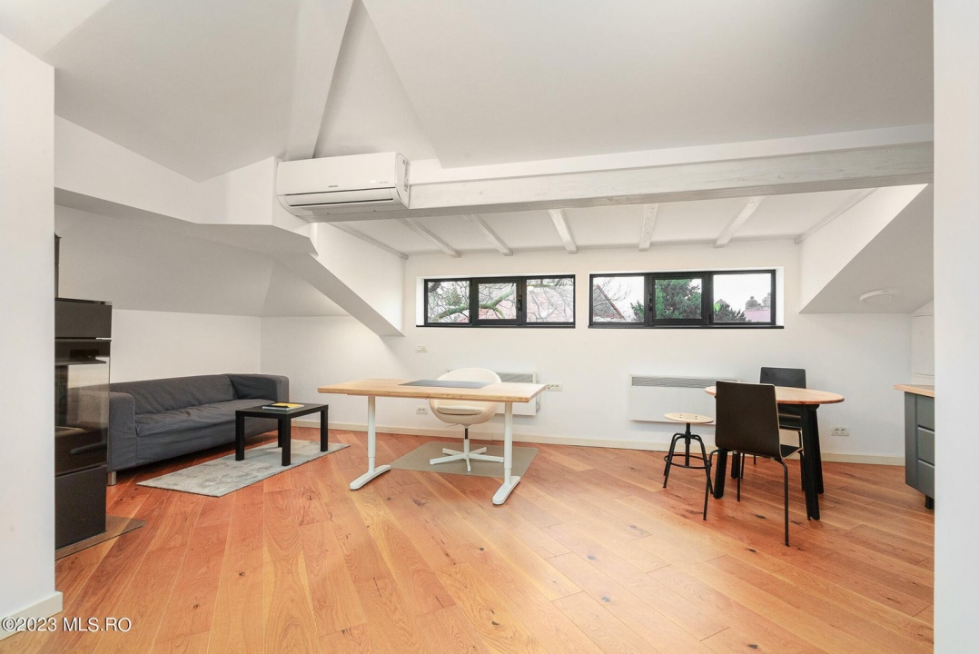 COTROCENI-GRADINA BOTANICA STUDIO LA CHEIE, 33 MP!