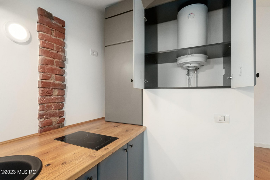 COTROCENI-GRADINA BOTANICA STUDIO LA CHEIE, 33 MP!