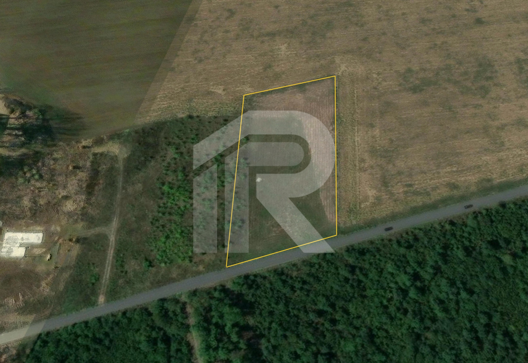 BALOTESTI - EDENLAND -  ideal investitie - Teren 5.254 mp, lângă pădure