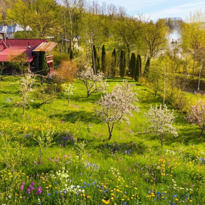 Teren intravilan Slanic Prahova