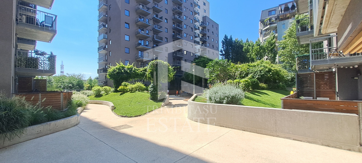 The Park | Tineretului | Primul chirias