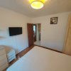 Auchan Titan 2 camere,parcare, mobilat utilat .Pet friendly.