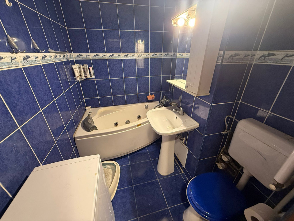 Apartament 3 camere Teiul Doamnei Lacul Tei