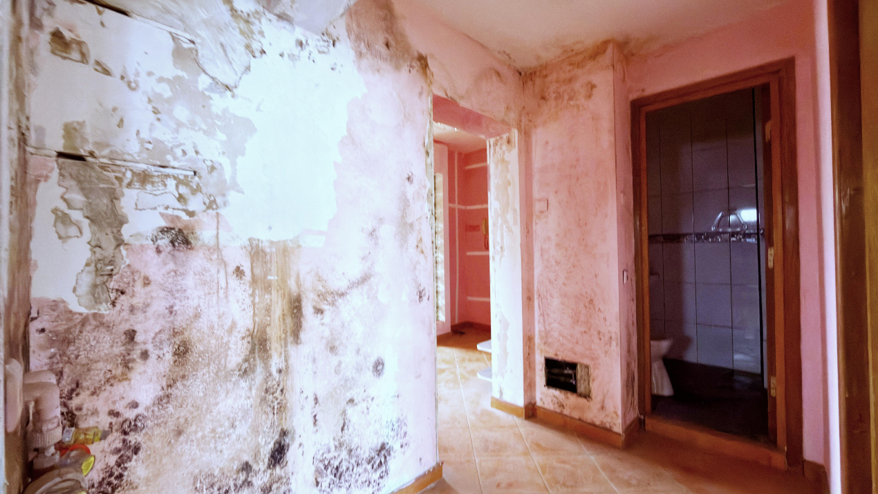 Apartament 3 camere Colentina Doamna Ghica