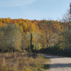 Curte minunata, Bughea de Jos, 5 minute de Valeni de Munte PH